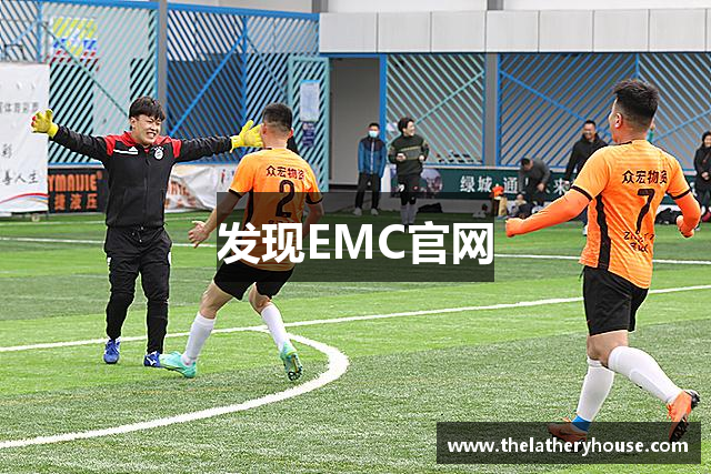 发现EMC官网